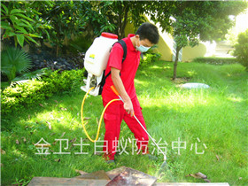 陽(yáng)光棕櫚園白蟻防治