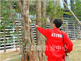 金域藍灣白蟻防治