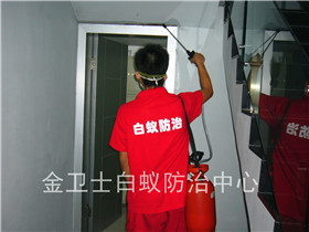 寶安第二高級中學(xué)白蟻預(yù)防工程
