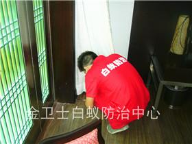 中國電信深圳分公司營業(yè)廳白蟻防治服務(wù)