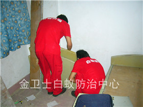 偉創(chuàng)力塑膠科技（深圳）有限公司廠區(qū)除四害服務(wù)