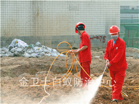新建萬(wàn)恒電器大廈白蟻預(yù)防工程