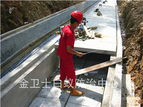 坪山盤(pán)梓線高壓電纜溝白蟻防治工程