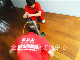 布吉桂芳園龍泉別墅白蟻防治服務(wù)