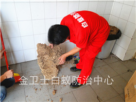 深圳龍崗布吉德?；▓@白蟻防治服務(wù)